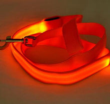 Load image into Gallery viewer, Light Up Dog Leash