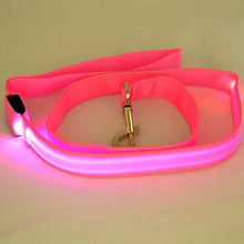 Load image into Gallery viewer, Light Up Dog Leash