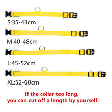 Load image into Gallery viewer, Rechargable Pet LED Dog Collar
