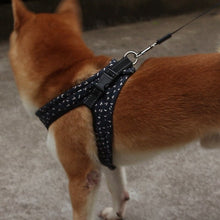 Load image into Gallery viewer, Dog Vest Harness