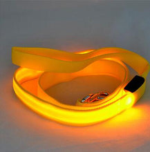 Load image into Gallery viewer, Light Up Dog Leash