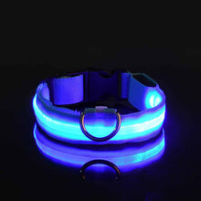 Load image into Gallery viewer, Rechargable Pet LED Dog Collar