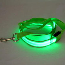 Load image into Gallery viewer, Light Up Dog Leash