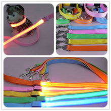 Load image into Gallery viewer, Light Up Dog Leash